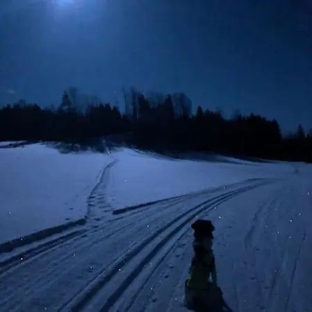 펜션 Log House Close To Lillehammer And Sjusjoen Haugen (Innlandet)