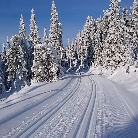 Log House Close To Lillehammer And Sjusjoen