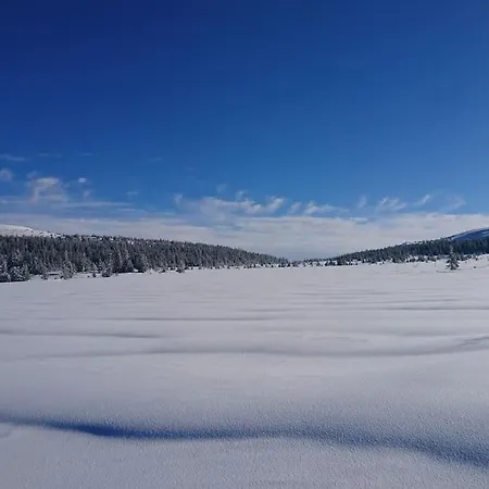 Log House Close To Lillehammer And Sjusjoen *