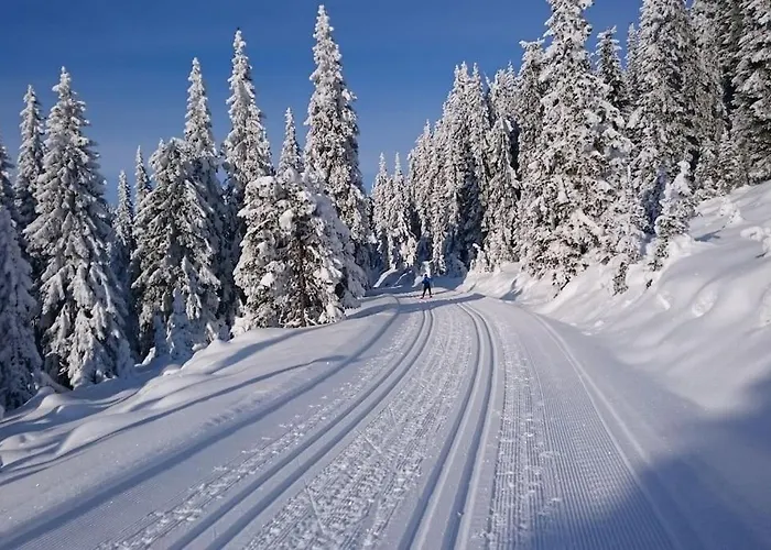 Log House Close To Lillehammer And Sjusjoen