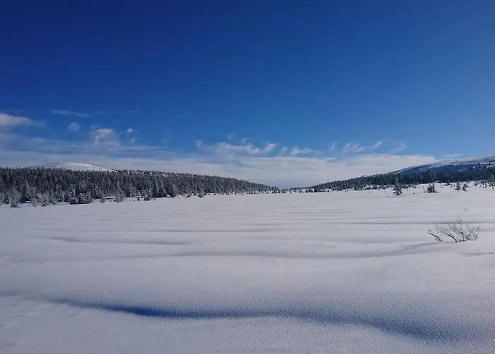 Log House Close To Lillehammer And Sjusjoen *